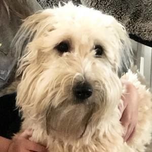 Meet your Posher, Marty